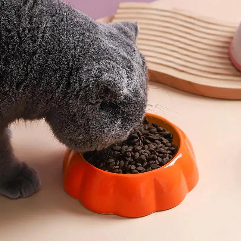 Ceramic Watermelon Shape Pet Bowl For Cats And Dogs