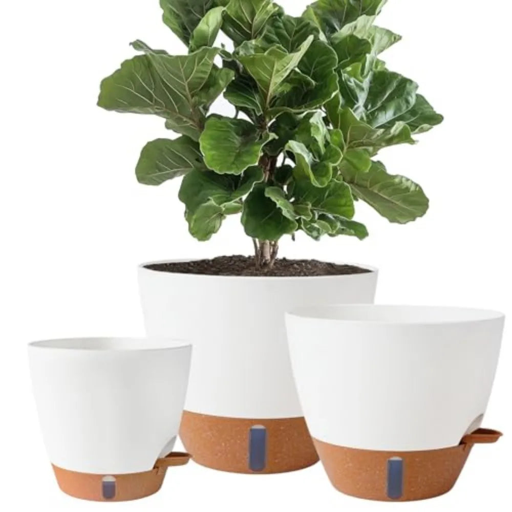 Porcelain Self Watering Plant Pots With Water Level Indicator
