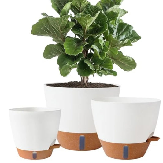 Porcelain Self Watering Plant Pots With Water Level Indicator