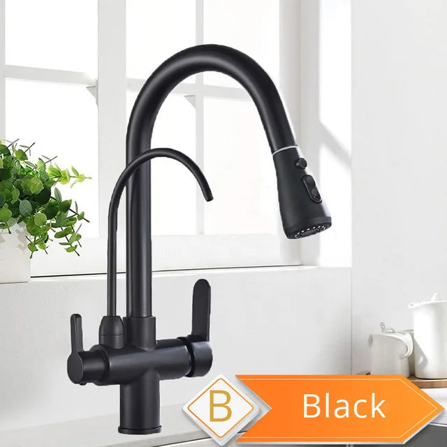 Rozin 3 Way Pull Out Kitchen Faucet With Water Filter