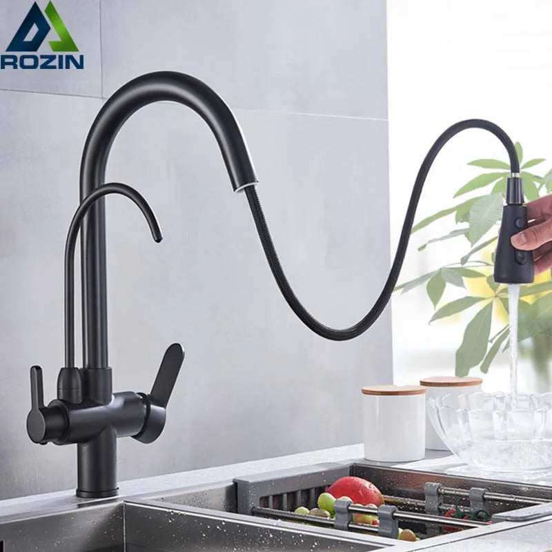 Rozin 3 Way Pull Out Kitchen Faucet With Water Filter