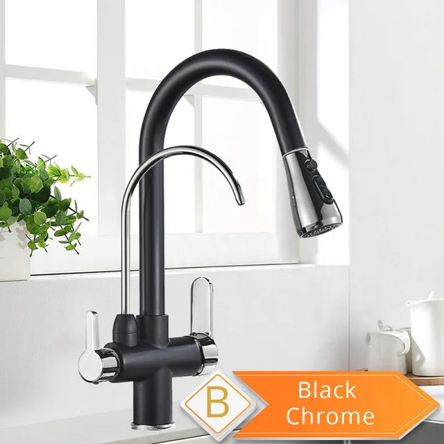 Rozin 3 Way Pull Out Kitchen Faucet With Water Filter