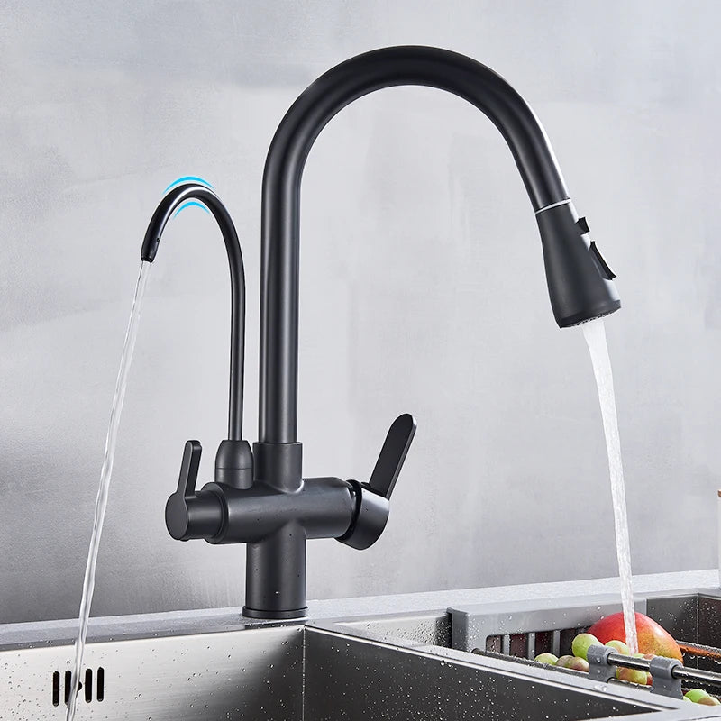 Rozin 3 Way Pull Out Kitchen Faucet With Water Filter