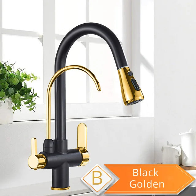 Rozin 3 Way Pull Out Kitchen Faucet With Water Filter