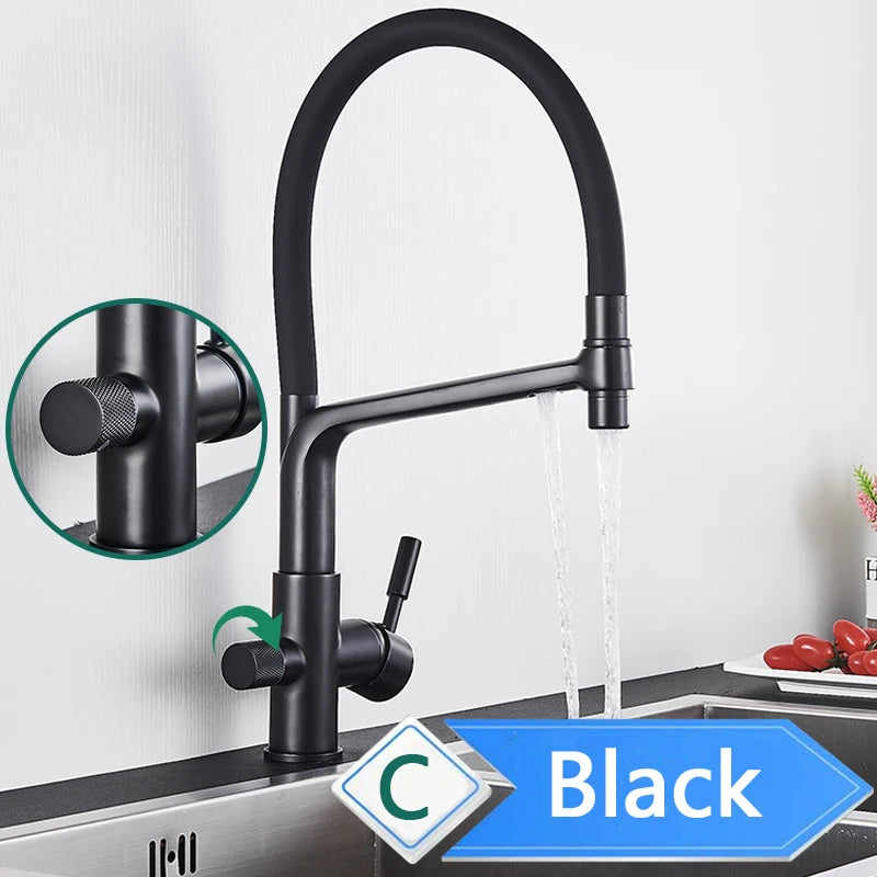 Rozin 3 Way Pull Out Kitchen Faucet With Water Filter