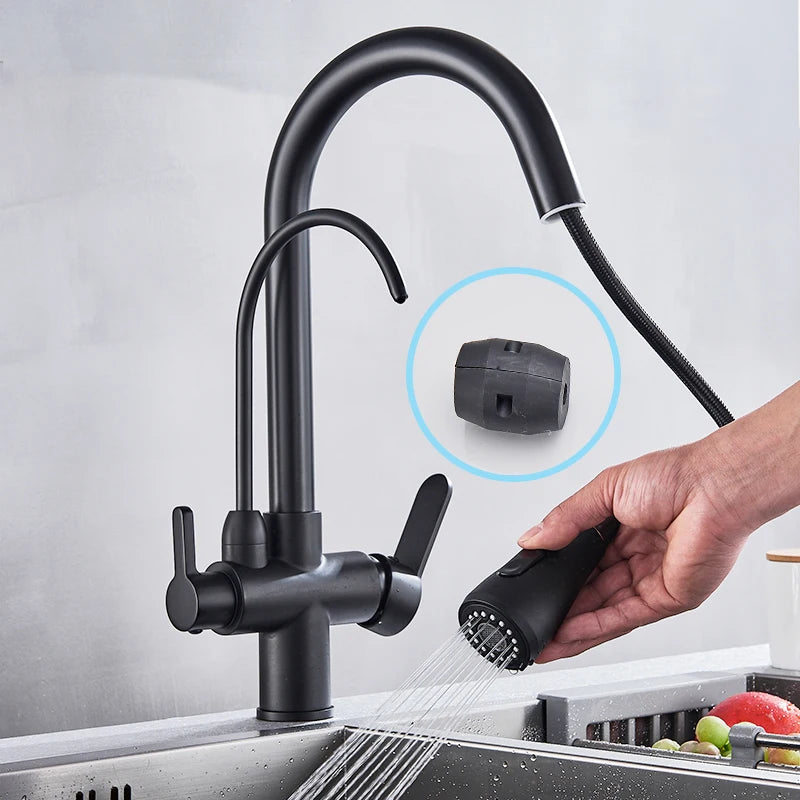 Rozin 3 Way Pull Out Kitchen Faucet With Water Filter