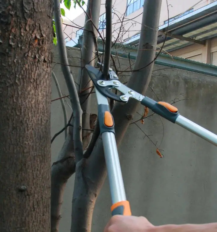 Telescopic Pruning Shears For Gardening And Fruit Trees