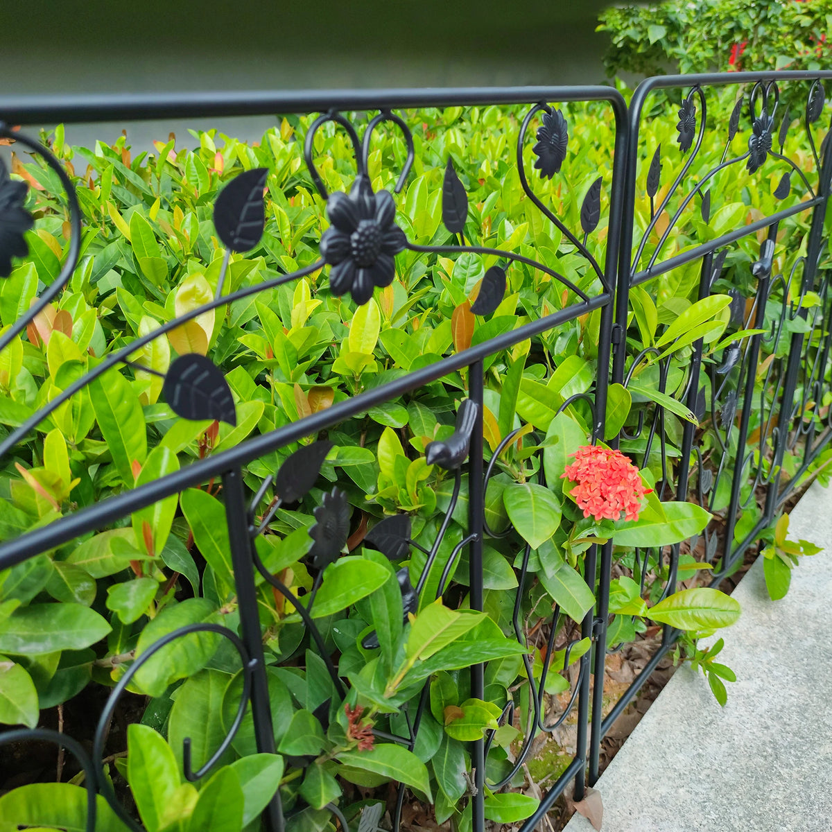 Decorative Powder Coated Metal Garden Fence Panels For Outdoors