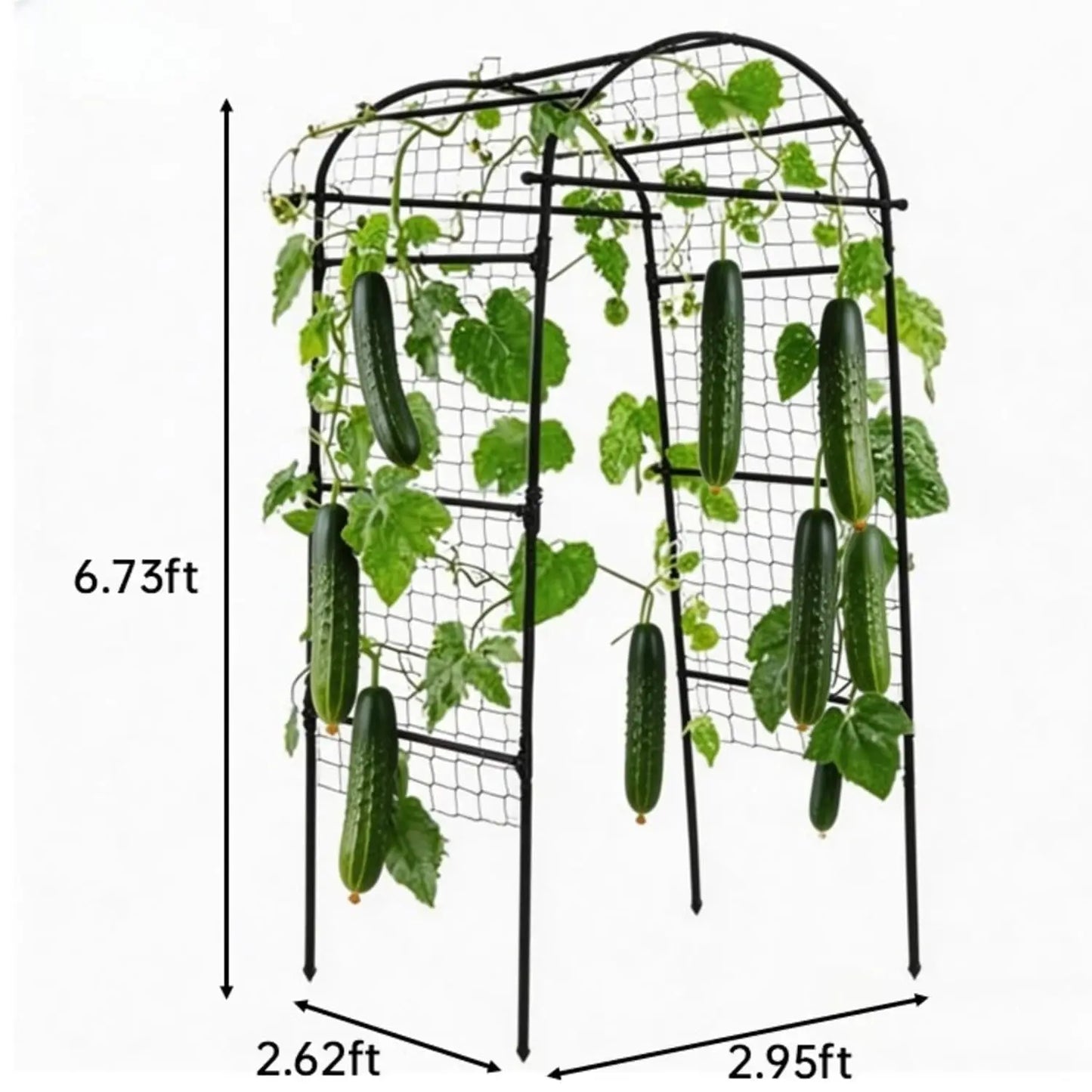 HiMISS Heavy Duty Garden Arch Trellis For Raised Bed Vines