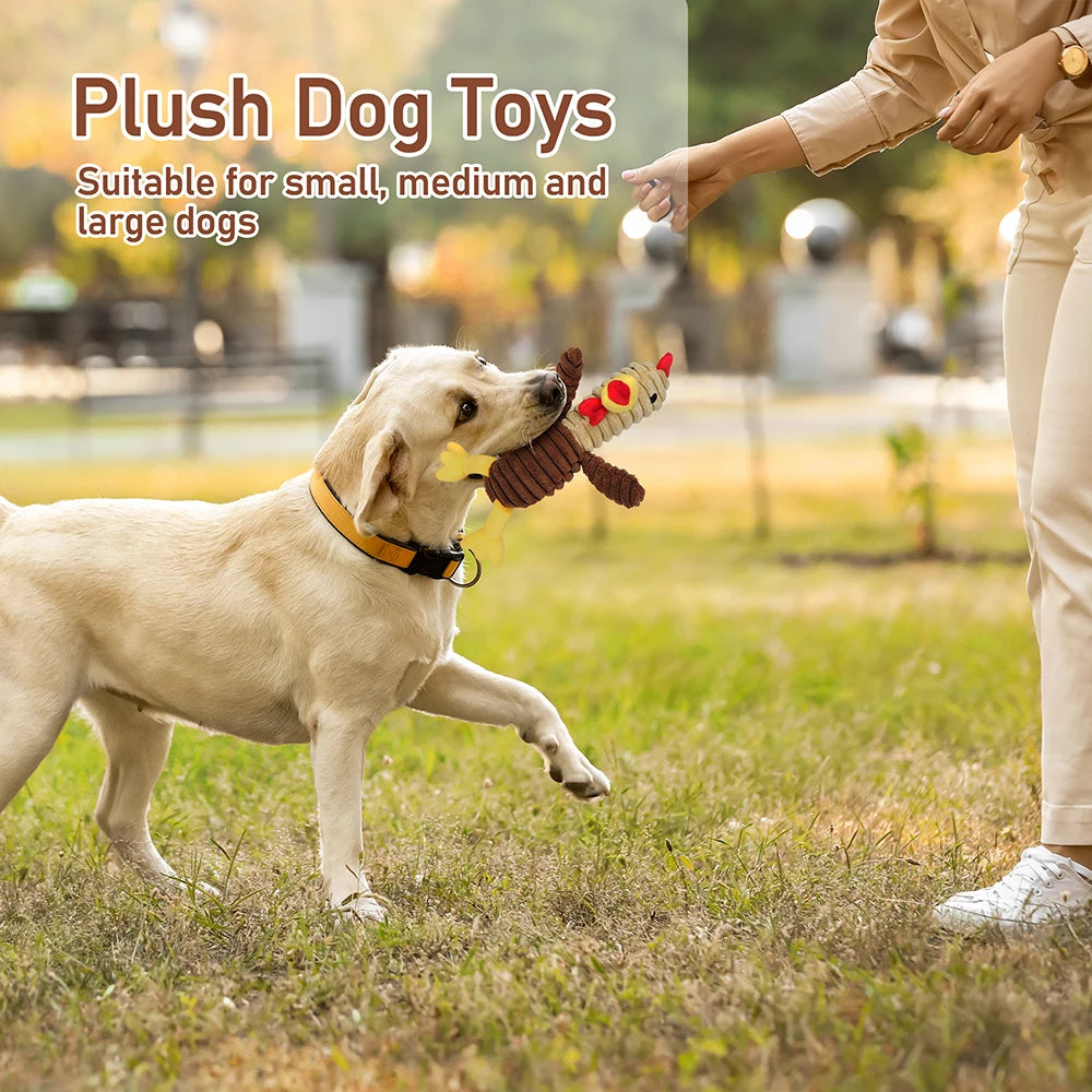 Plush Squeaky Dog Toys Five Pack Assortment For All Breeds