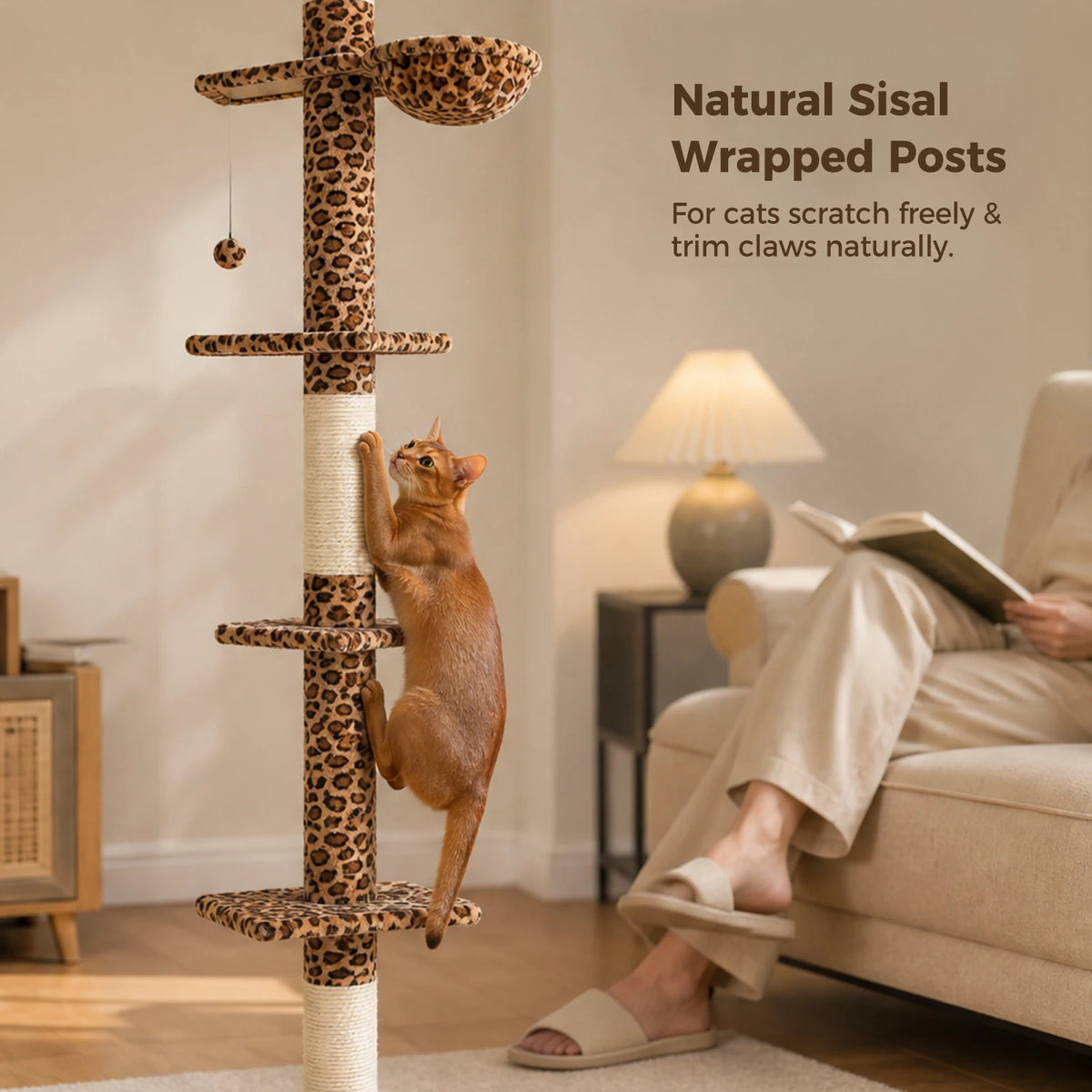 PAWZ Road Adjustable Floor To Ceiling Cat Tree With Hammock