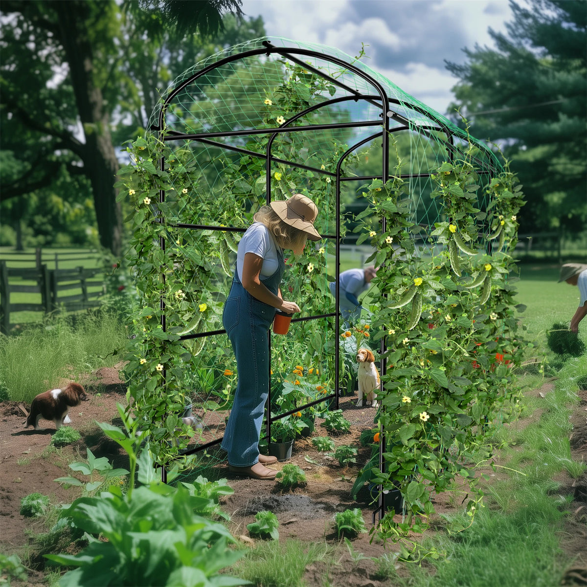 U-Shaped Metal Cucumber Trellis With Nylon Netting And Support Spikes