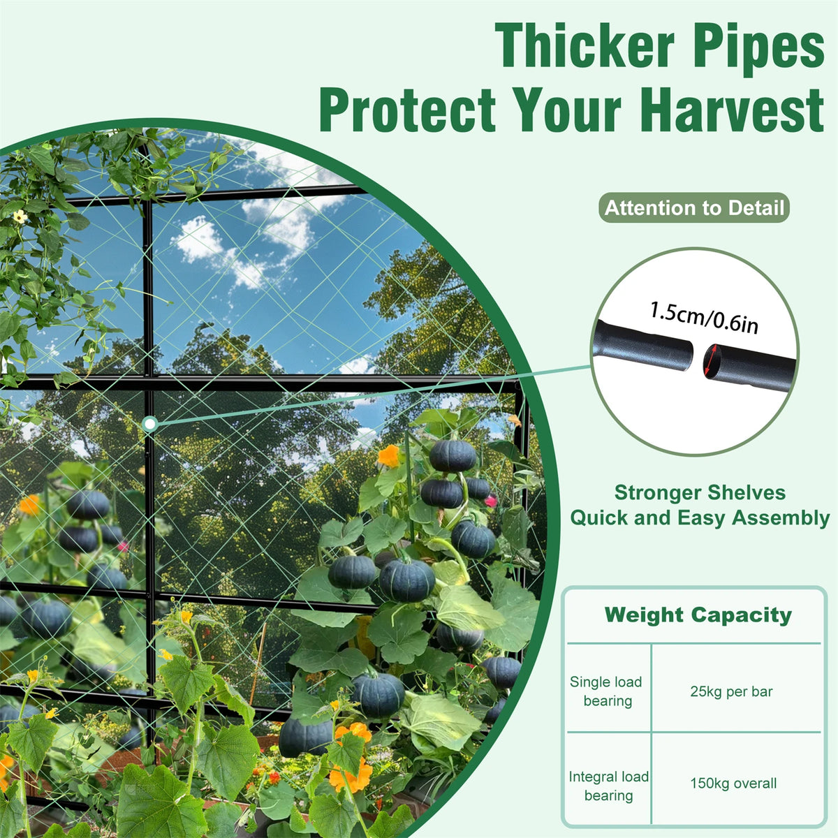 U-Shaped Metal Cucumber Trellis With Nylon Netting And Support Spikes