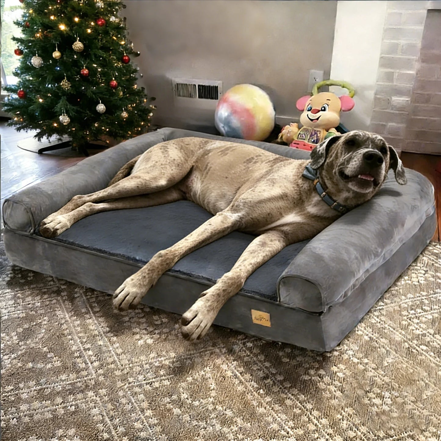 Borwart Orthopedic Memory Foam Dog Bed With Removable Waterproof Cover