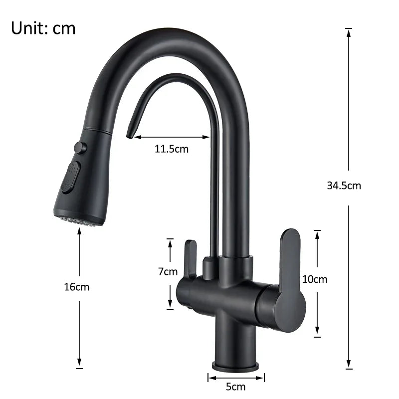 Rozin 3 Way Pull Out Kitchen Faucet With Water Filter