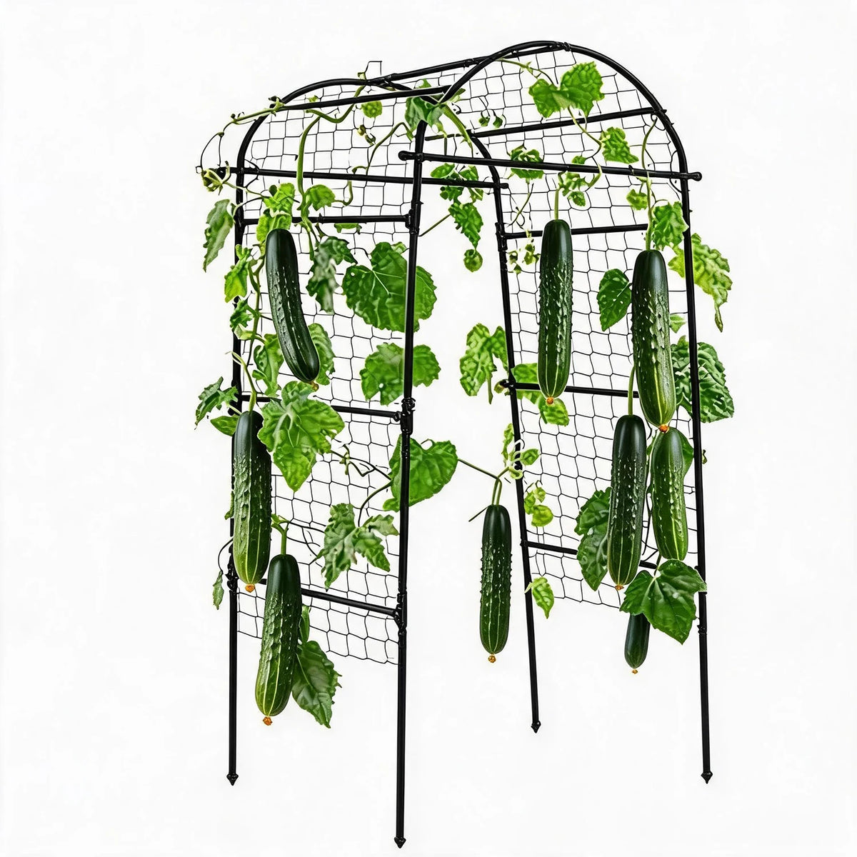HiMISS Heavy Duty Garden Arch Trellis For Raised Bed Vines