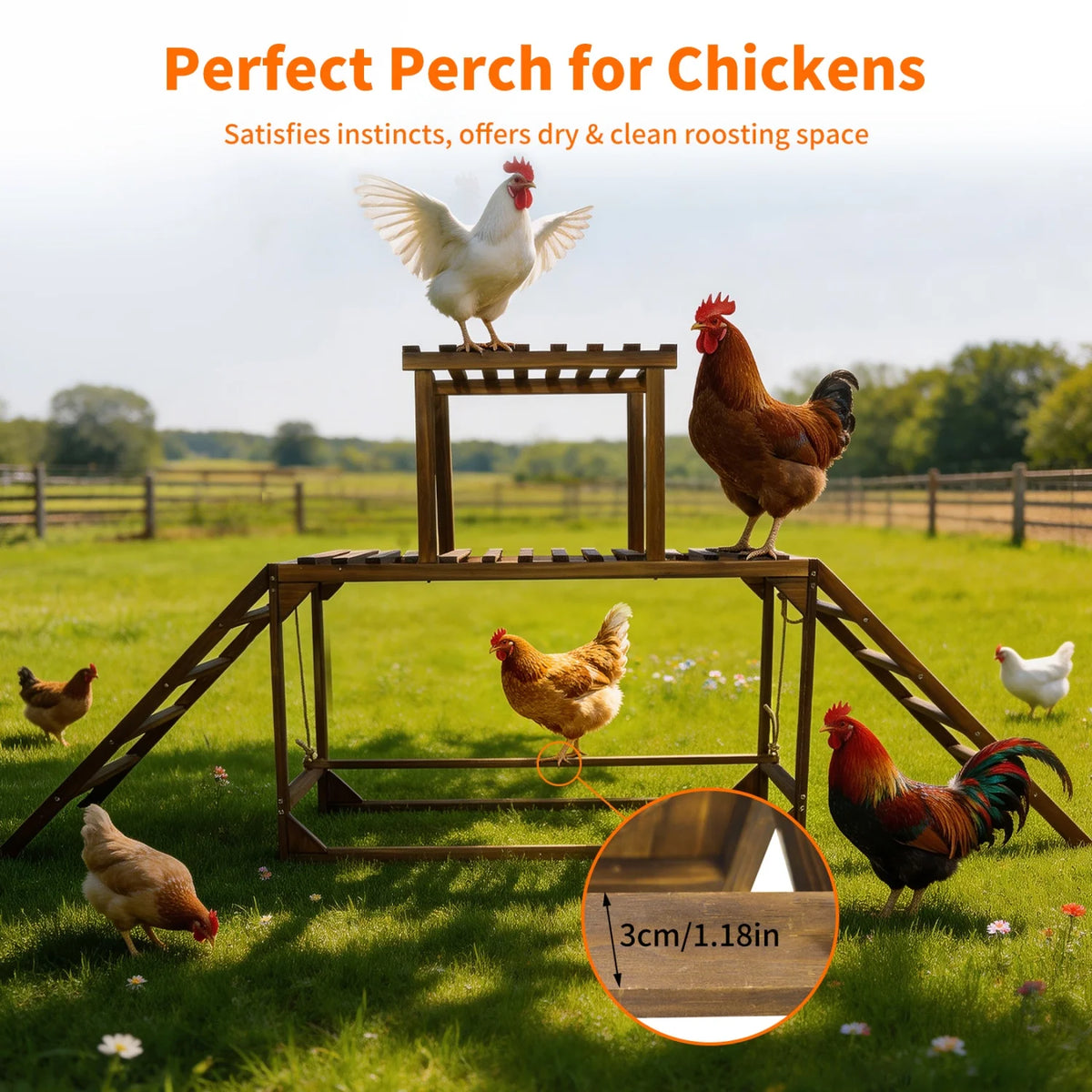 BINGOPAW Wooden Chicken Perch Swing With Ladder Activity Toy