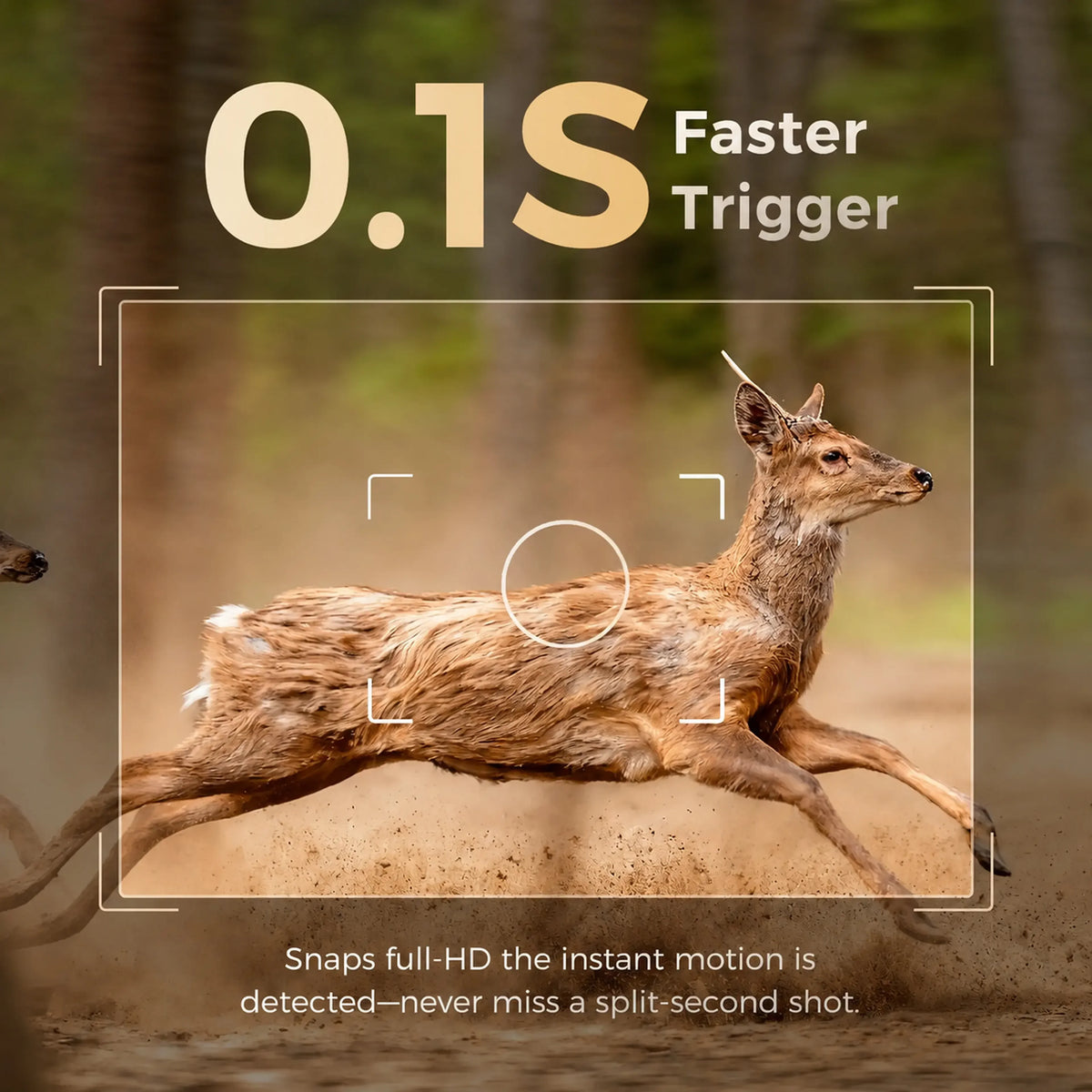 Solar Powered 4G Hunting Camera With Night Vision App Control