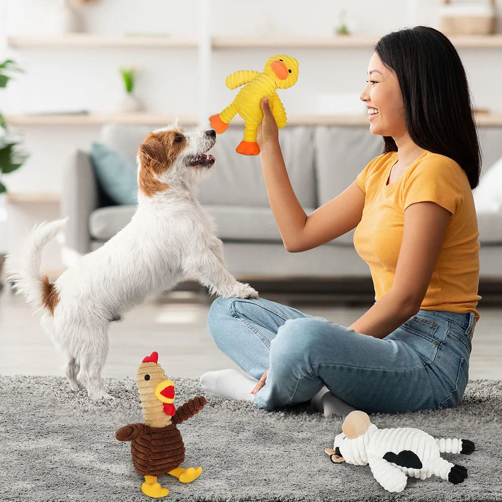 Plush Squeaky Dog Toys Five Pack Assortment For All Breeds