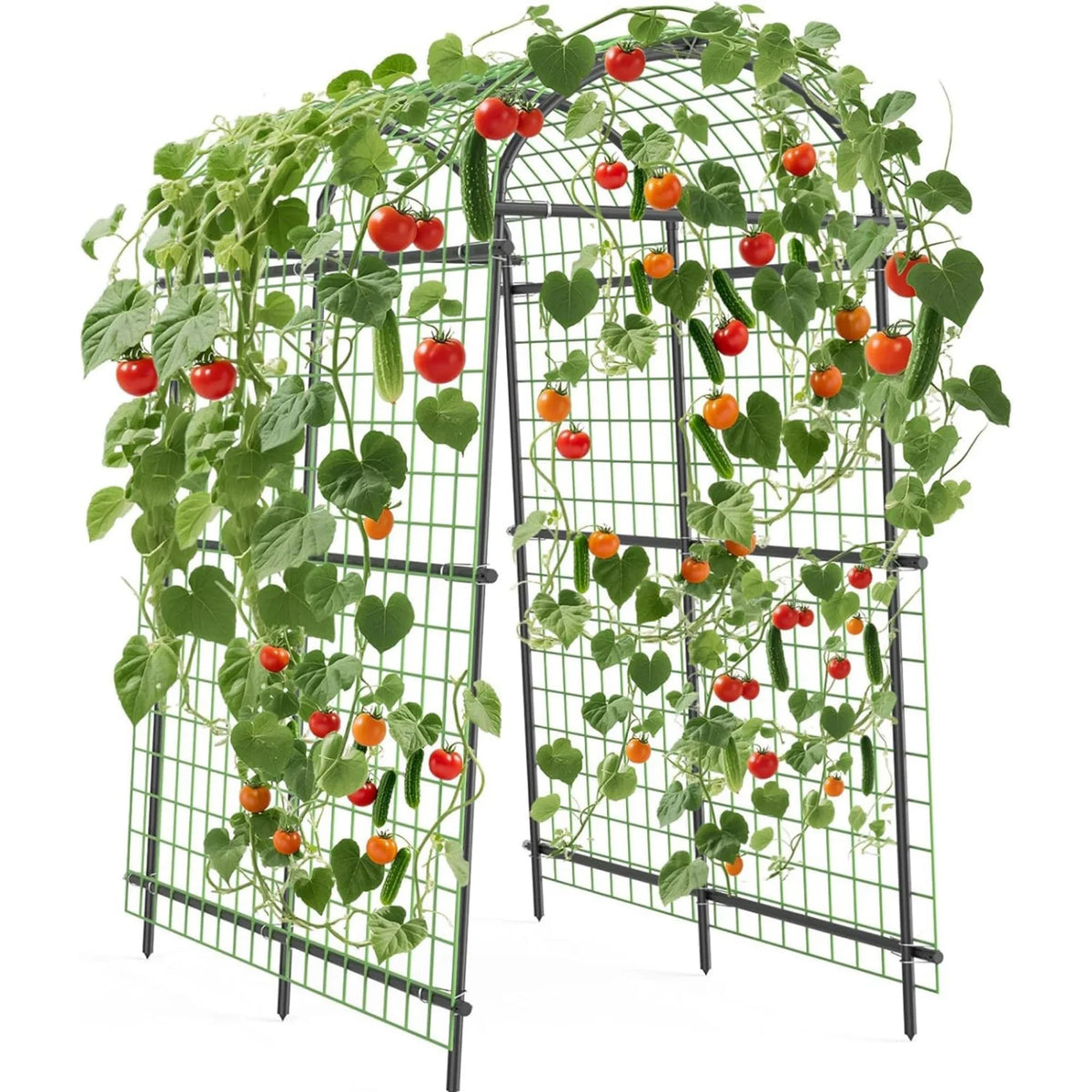 HiMISS Adjustable Metal Garden Arch Trellis For Climbing Plants