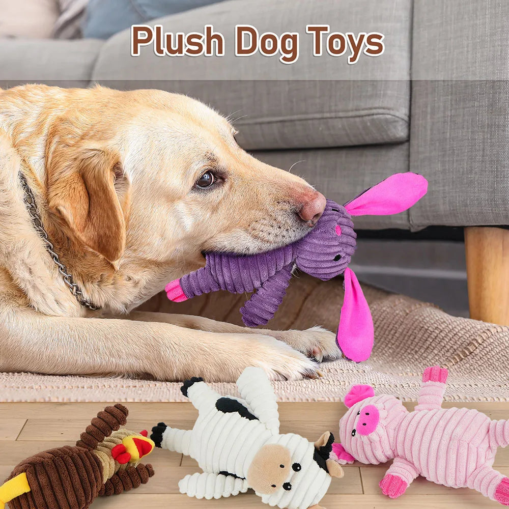 Plush Squeaky Dog Toys Five Pack Assortment For All Breeds