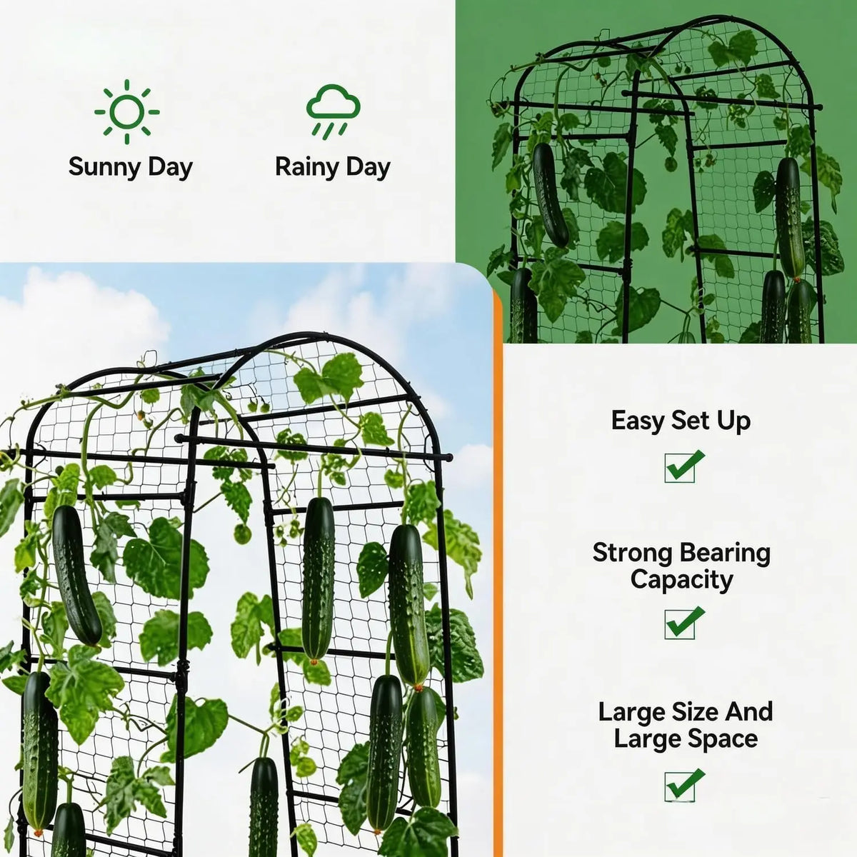 HiMISS Heavy Duty Garden Arch Trellis For Raised Bed Vines